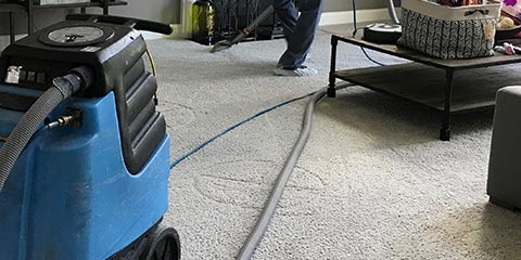 Wall to Wall Carpet Steam Cleaning