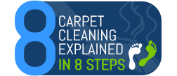 Carpet Cleaning Explained in 8 Steps