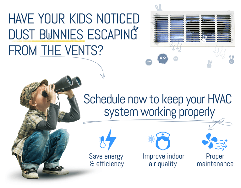 Have You Noticed Dust Bunnies Escaping From The Vents??